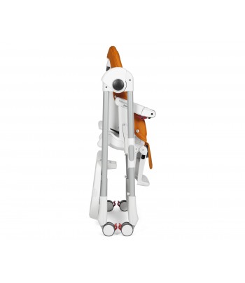 PEG PEREGO SEGGIOLONE PAPPA FOLLOW ME MON AMOUR